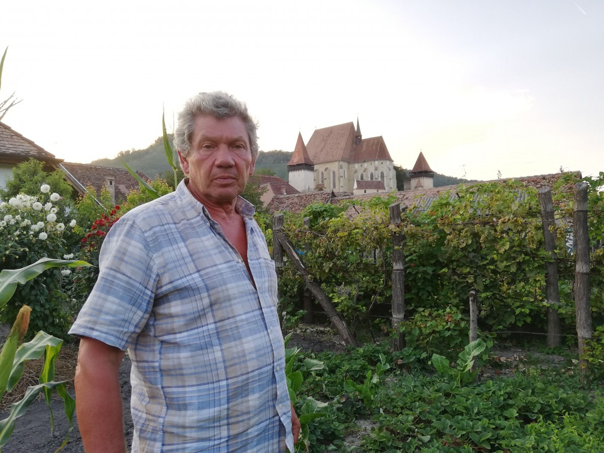 martin gaber in gradina