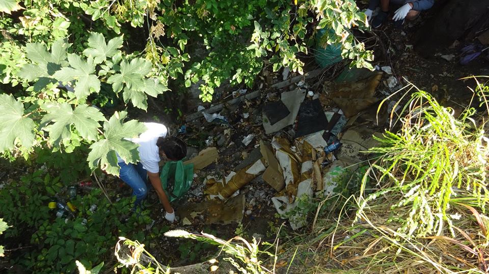 pneumoftiziologie ecologizare (12)