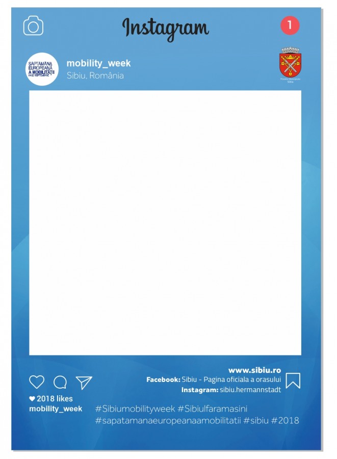 preview panou social media