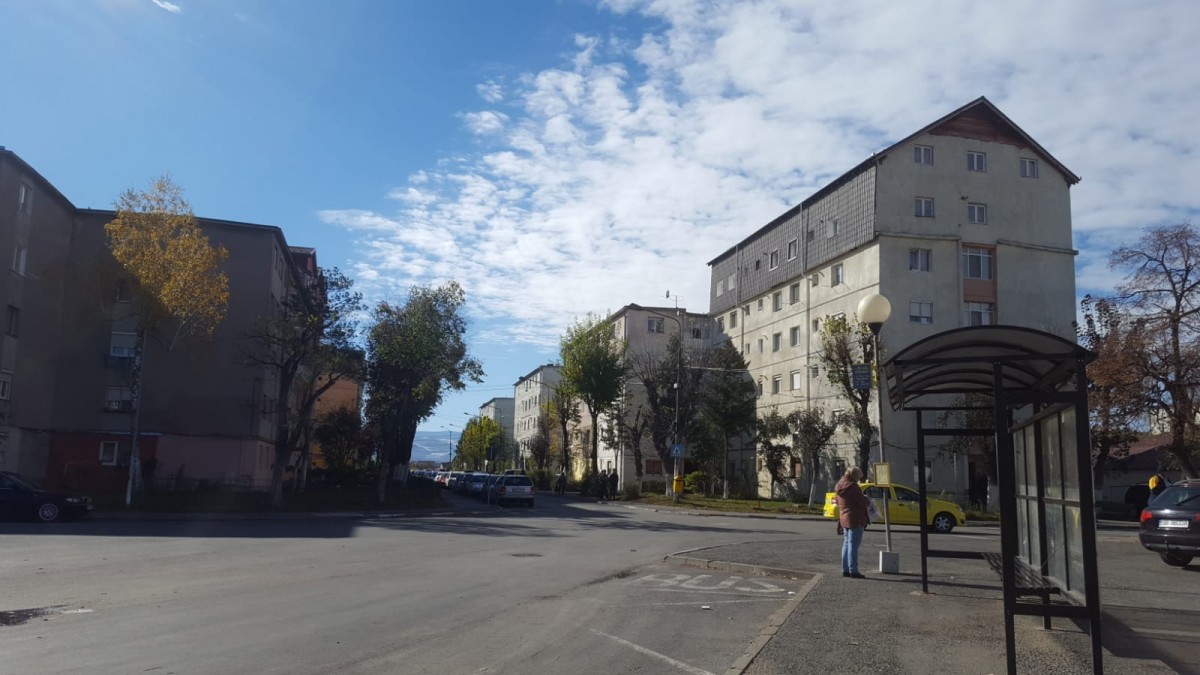 apa tiglari (1)