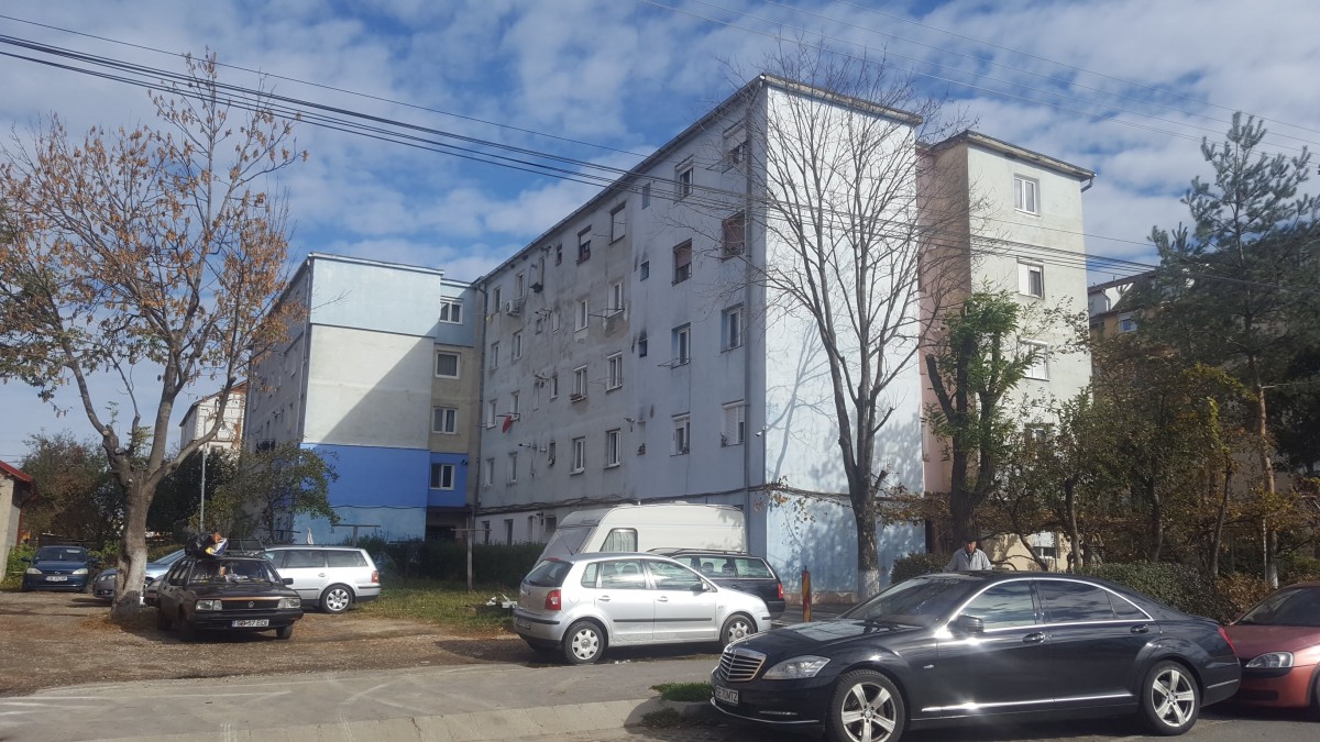 apa tiglari (1)