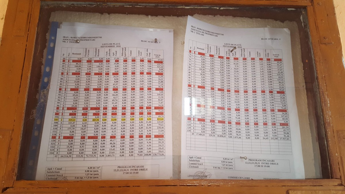 apa tiglari (10)