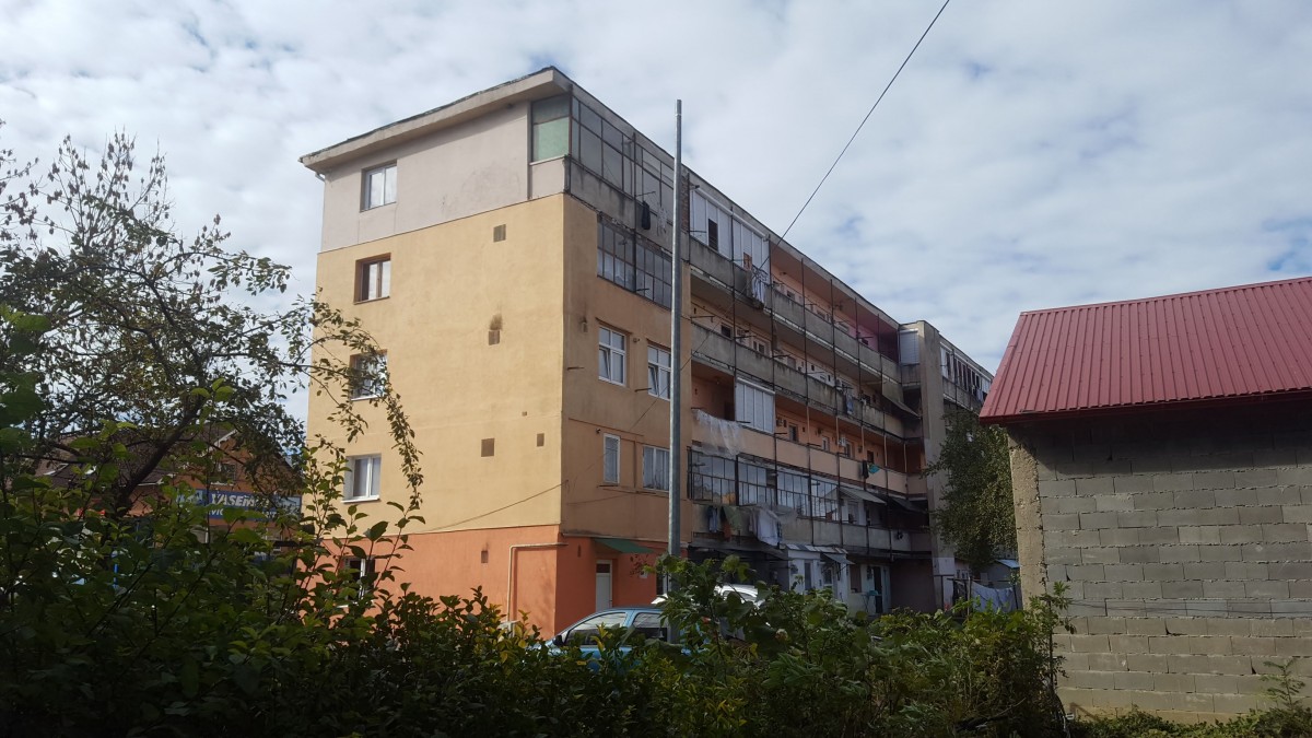 apa tiglari (14)