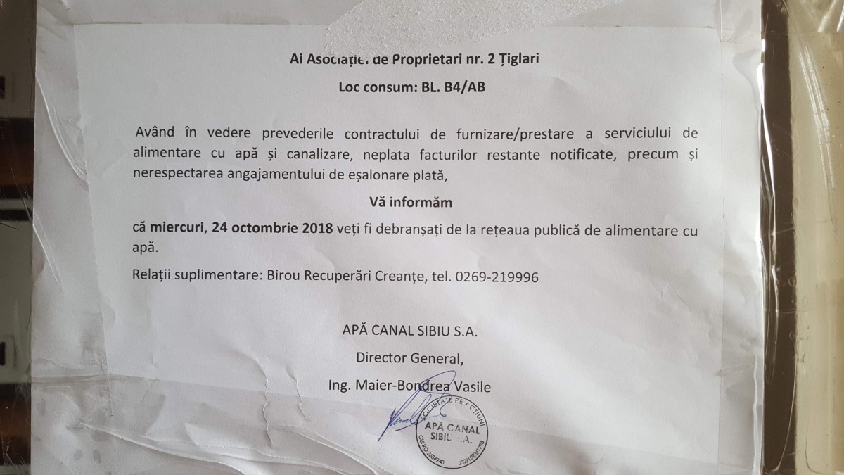 apa tiglari (15)