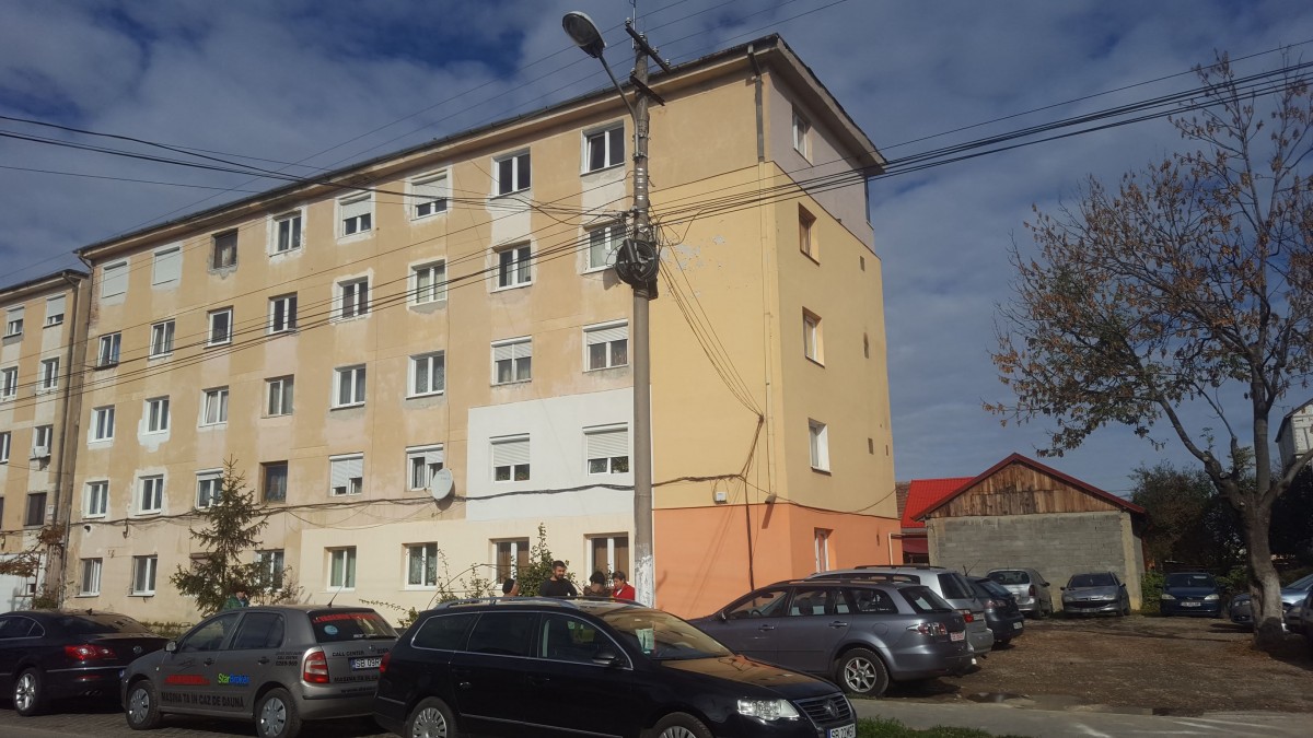 apa tiglari (2)