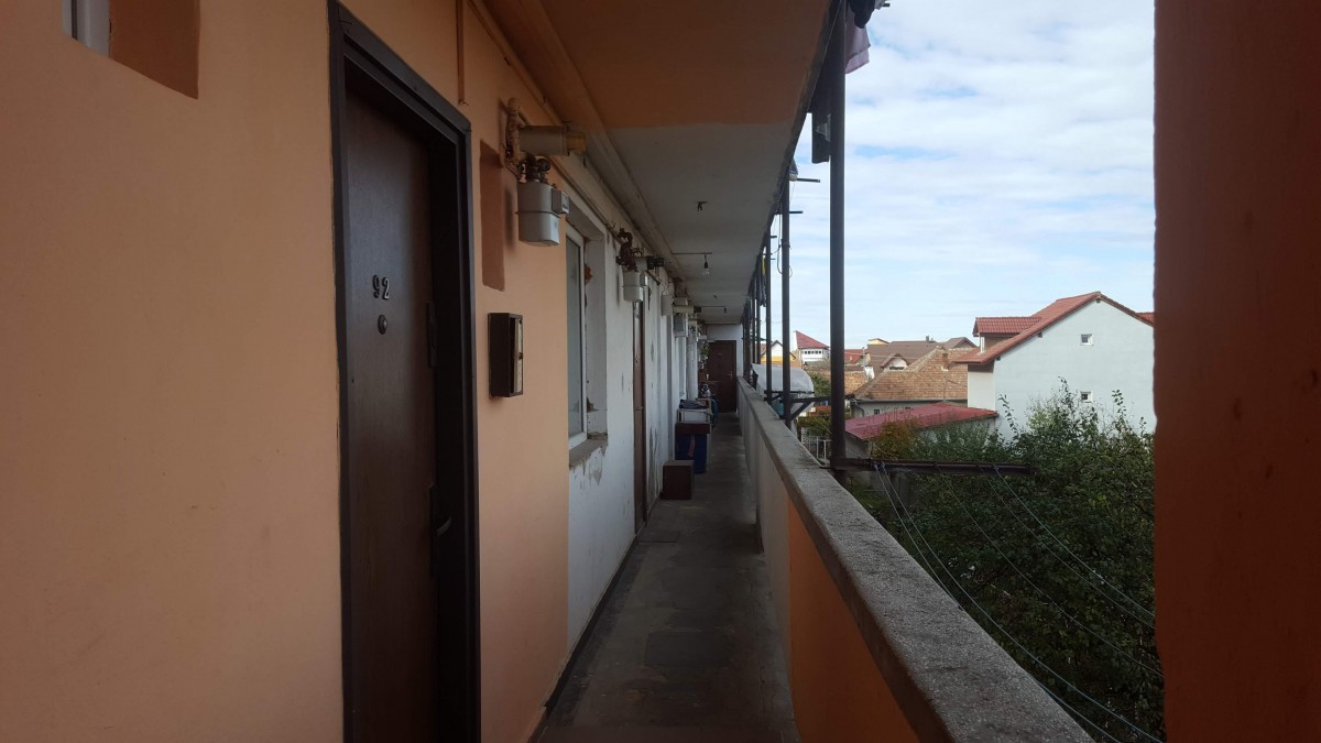 apa tiglari (8)