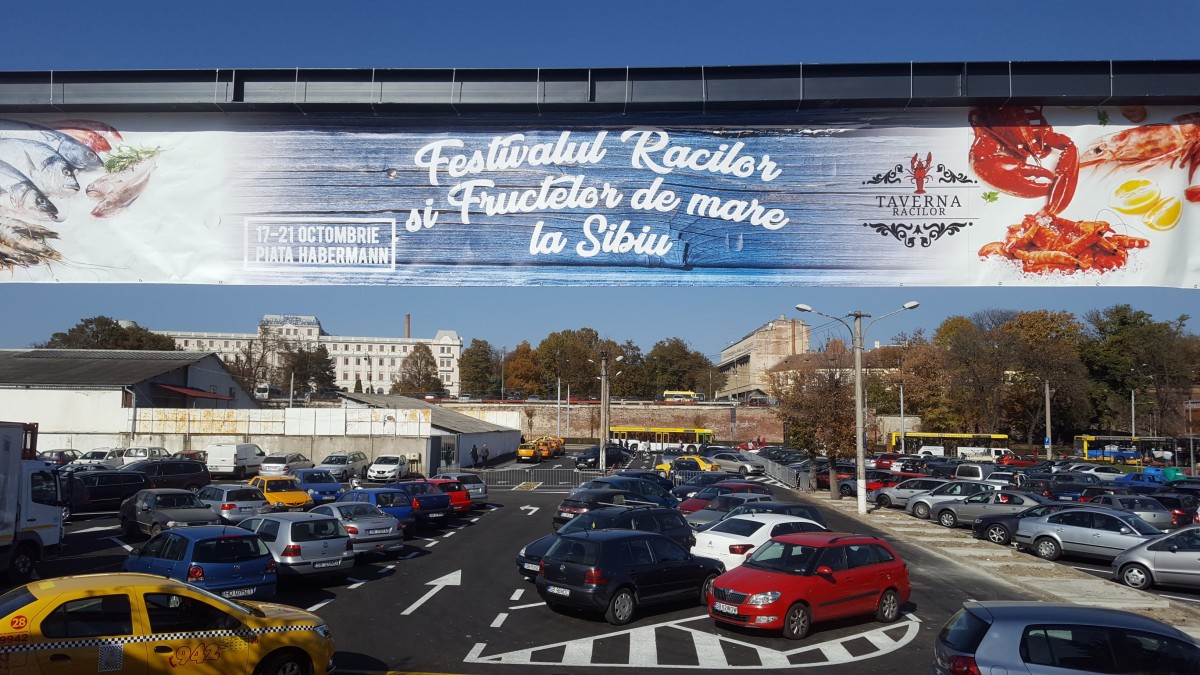 festival raci si fructe de mare (14)