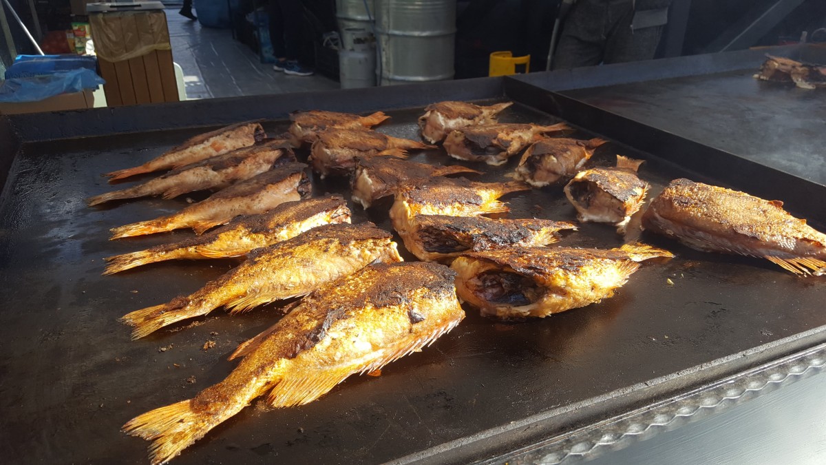 festival raci si fructe de mare (3)