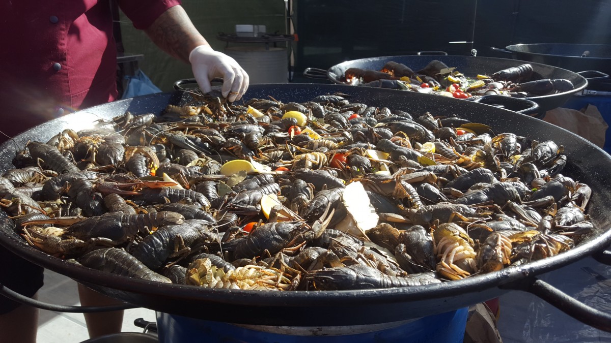 festival raci si fructe de mare (9)