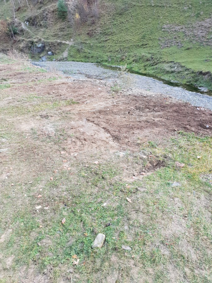 rasinari curatenie (1)