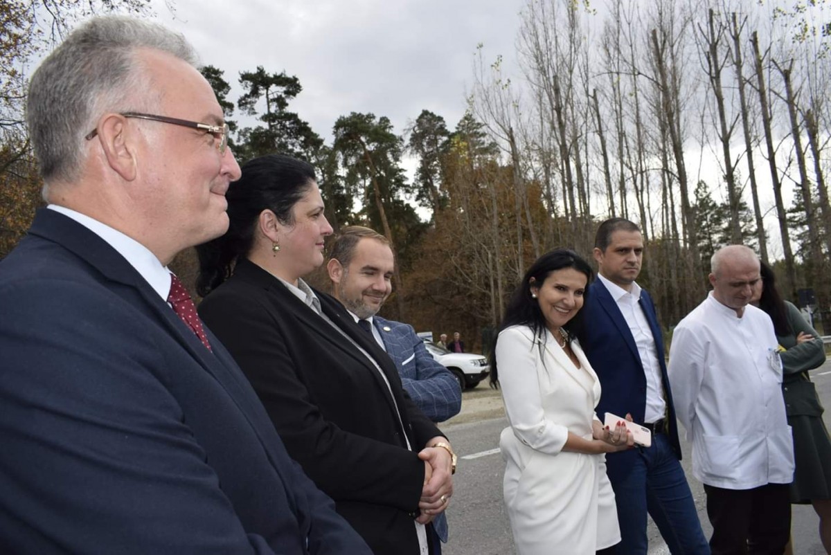 PSD sorina pintea trif (2)