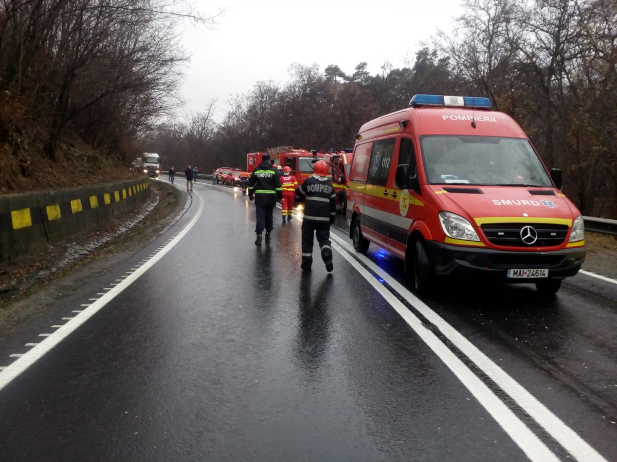 hula bradului tir cu autocar