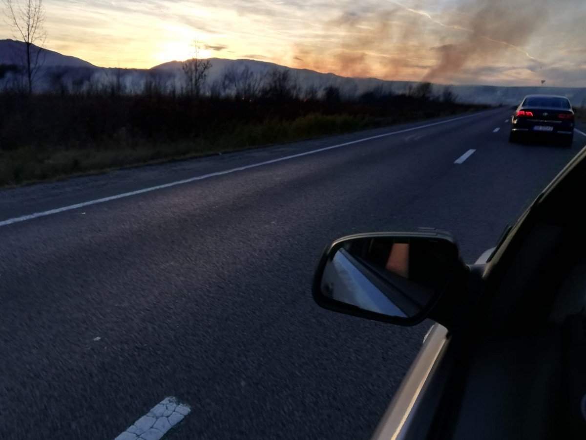 incendiu vegetatie (3)