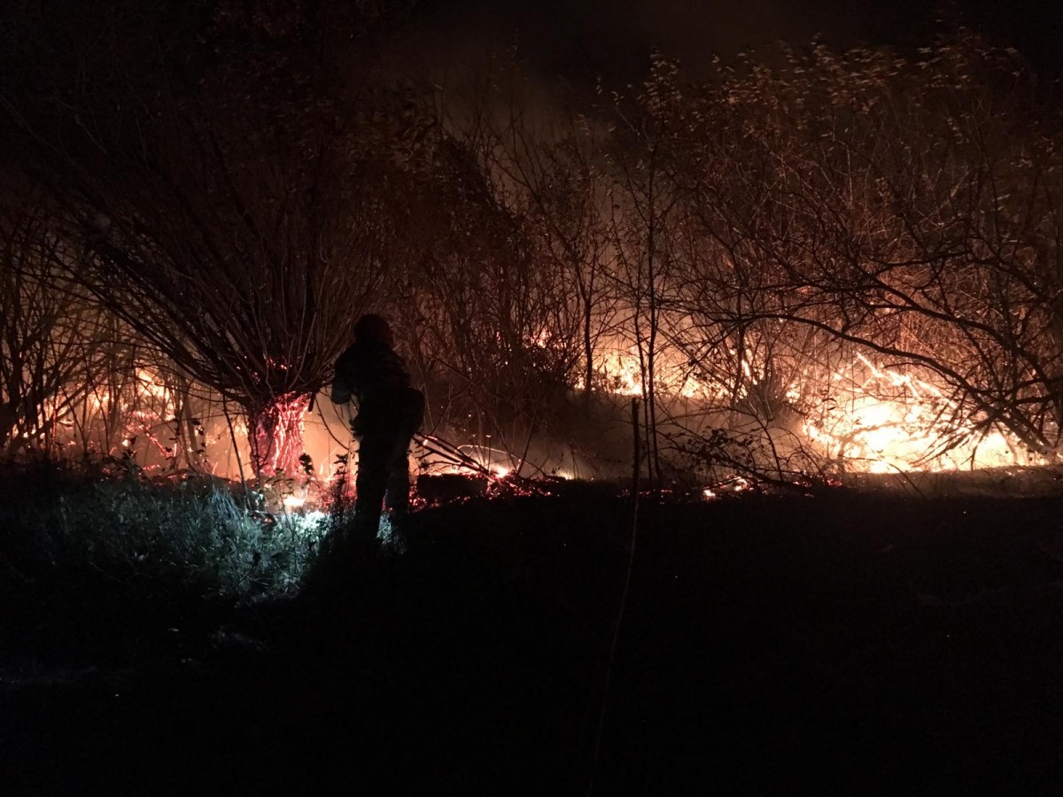 incendiu vegetatie ISU 2
