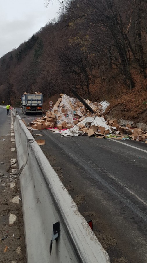 tir valea oltului balsam (2)