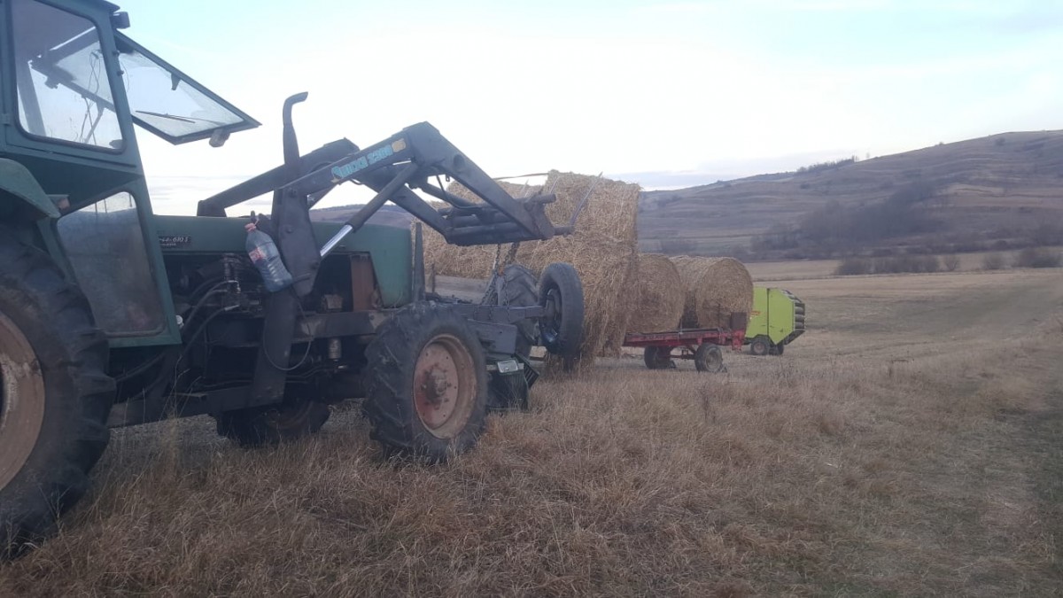 tractor mosna decedat (2)