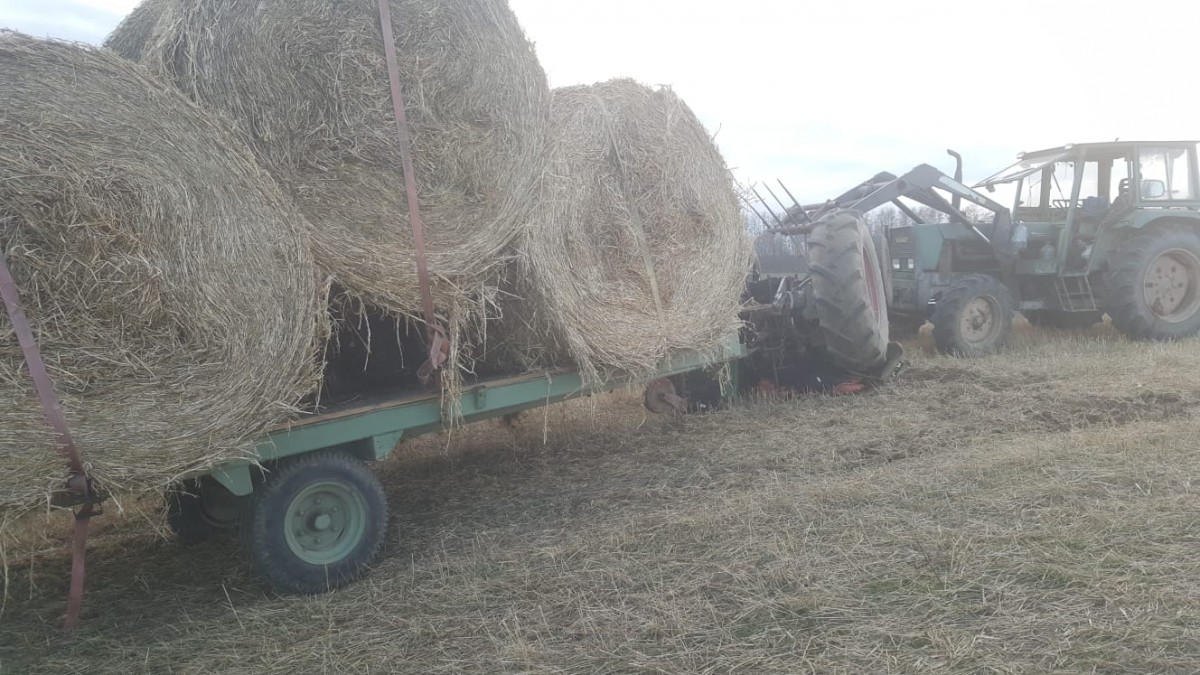 tractor mosna decedat (3)