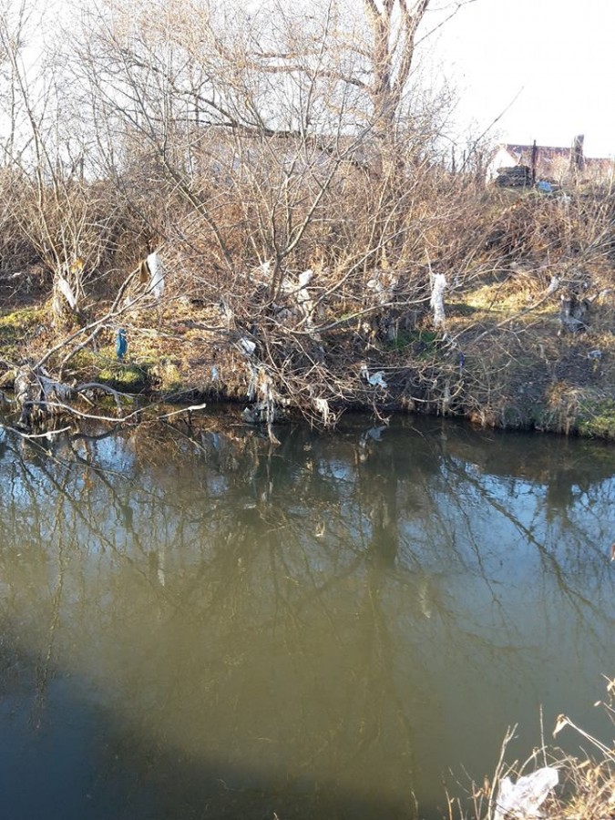 47580994_582991708796711_2581641903174844416_n