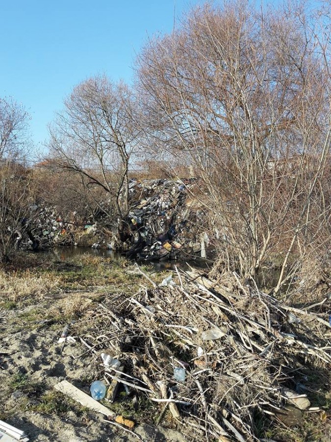 48056246_582992122130003_6247980919395713024_n