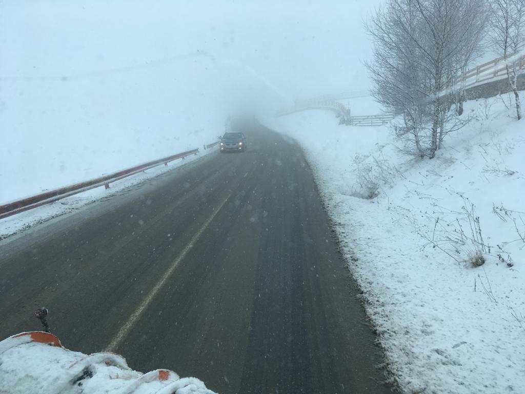 Păltiniș