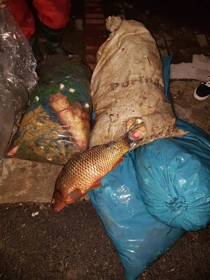 braconieri racovita peste (1)