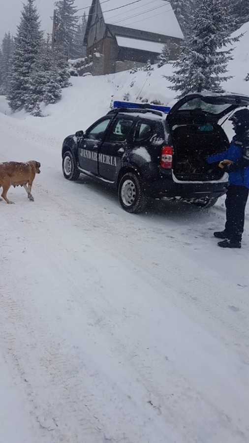 catei jandarmi montani ranca (6)