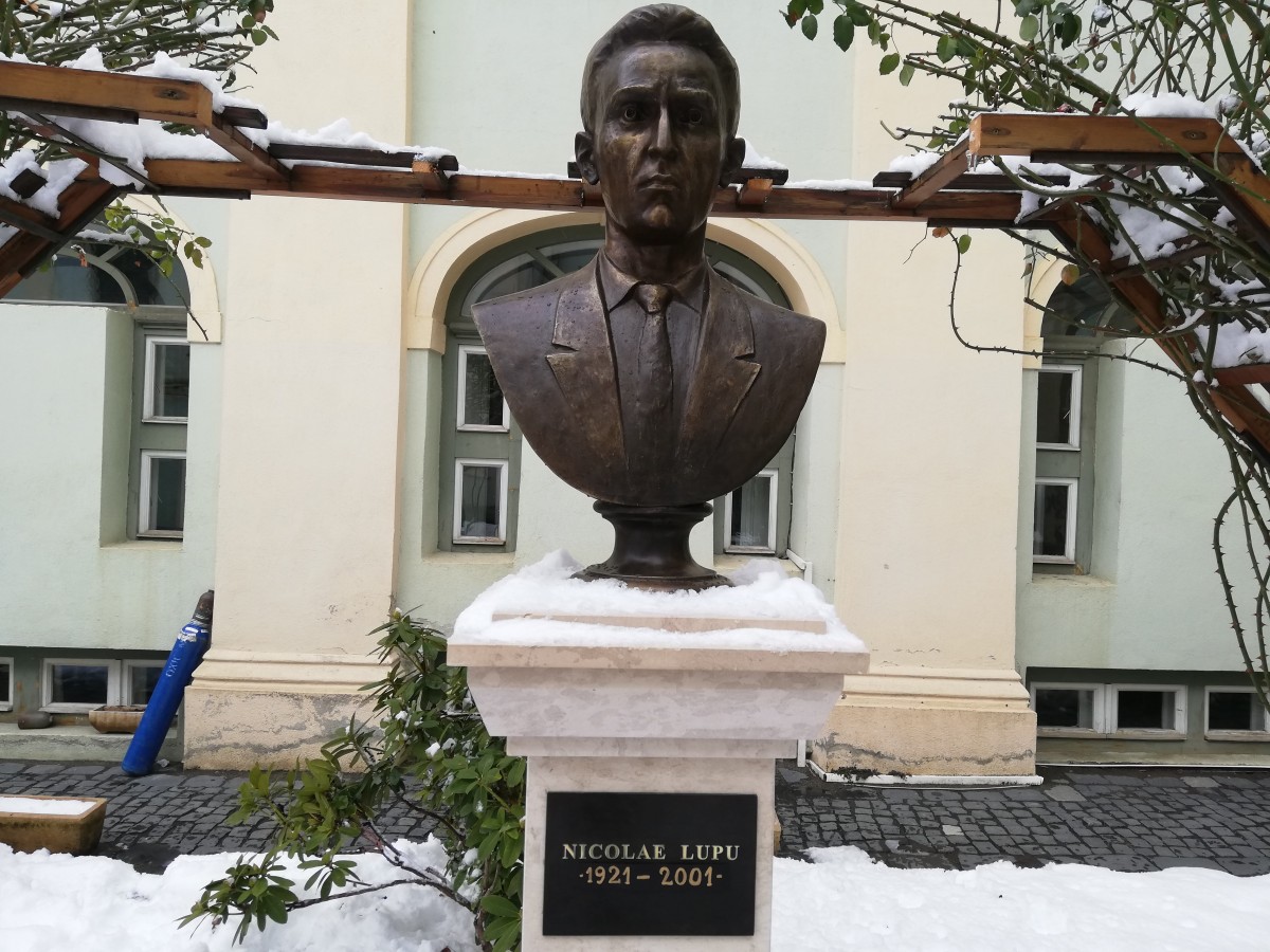 nicolae lupu