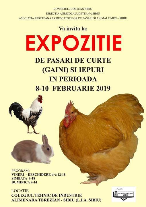 expozitie pasari