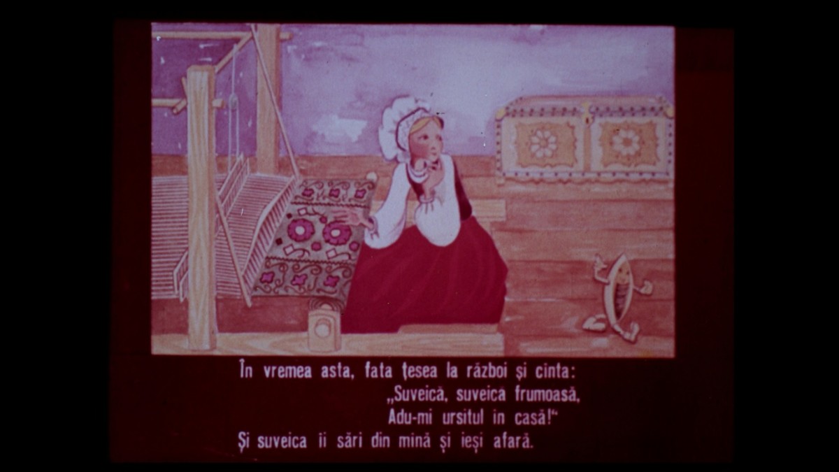 Fusul acul si suveica