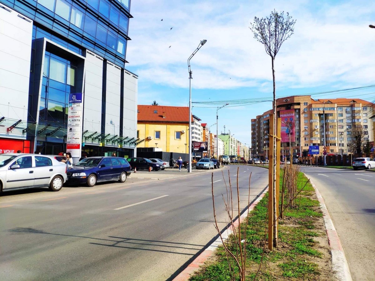 IMG-20190318-WA0004
