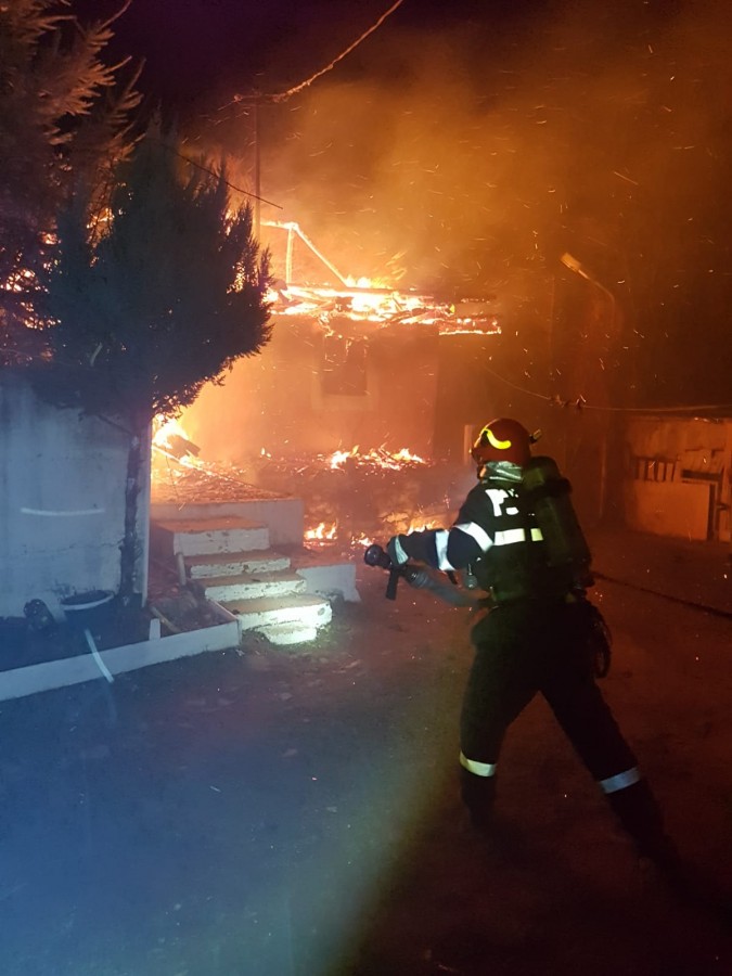 WhatsApp Image 2019-03-07 at 05.45.51