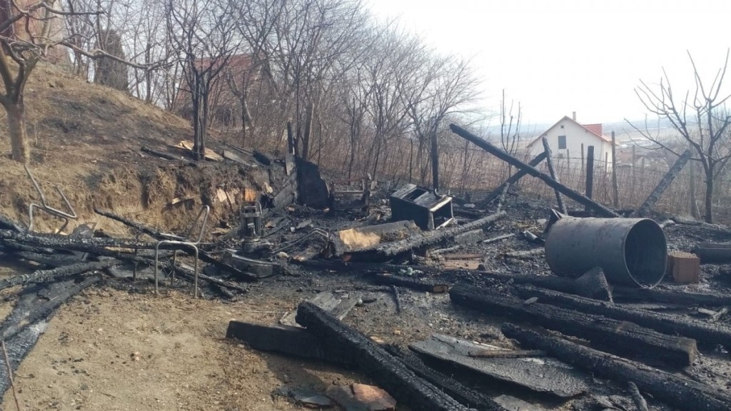 foc sura (2)