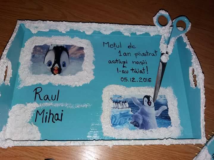 micile afaceri irina (6)