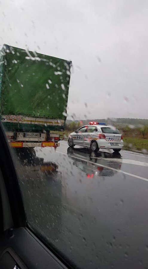 56806359_518709345323116_1222073334225698816_n