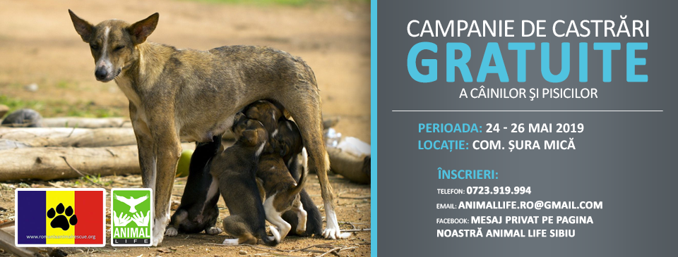 castrare animal life