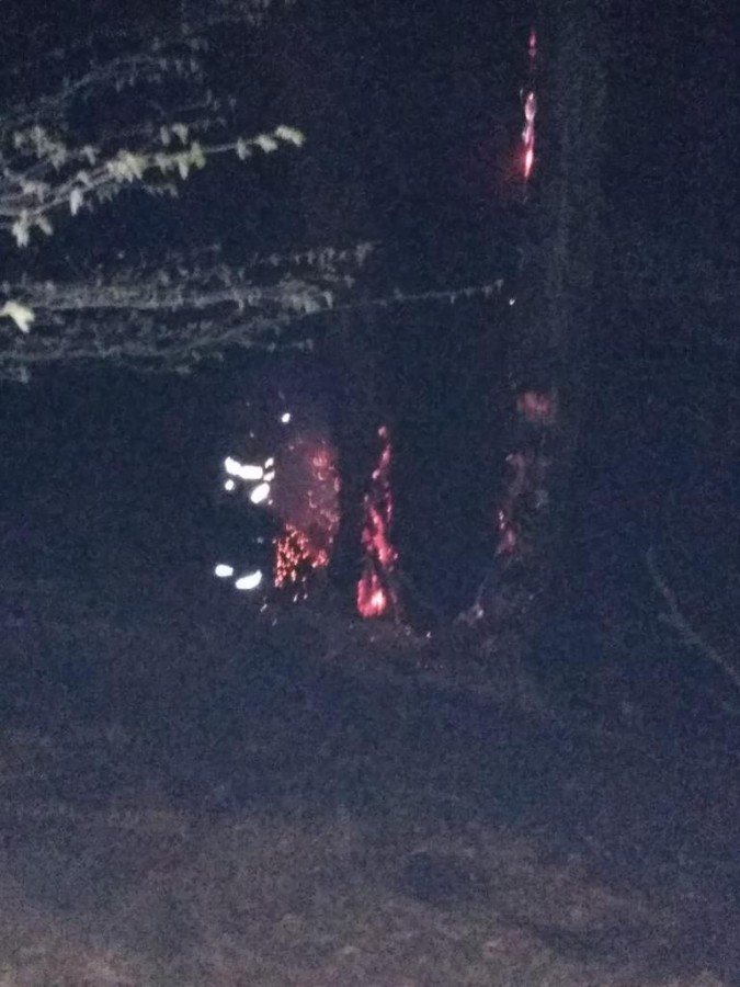 incendiu valea viilor 1