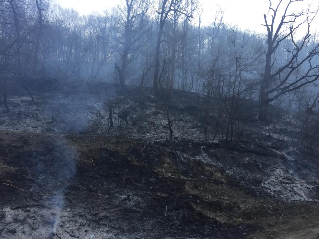 incendiu valea viilor 3