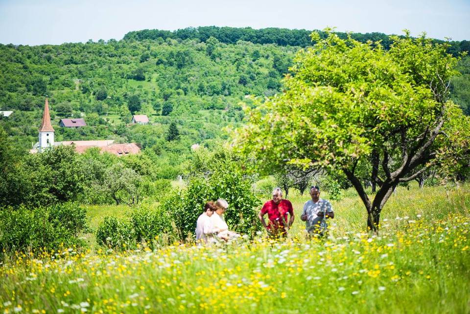 picnic in cindrel