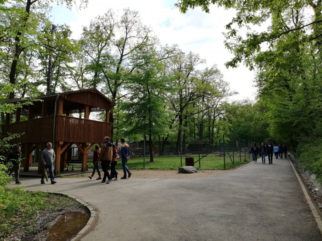 zoo (6)