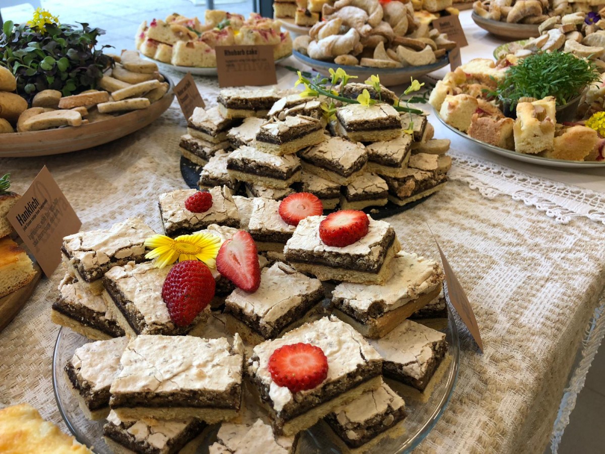 masa summit 4