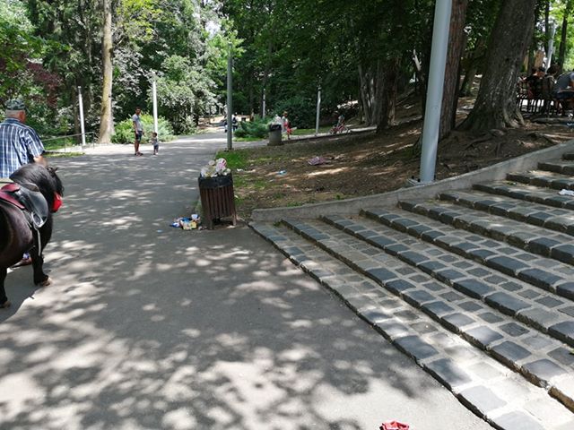 mizerie gunoi parc sub arini
