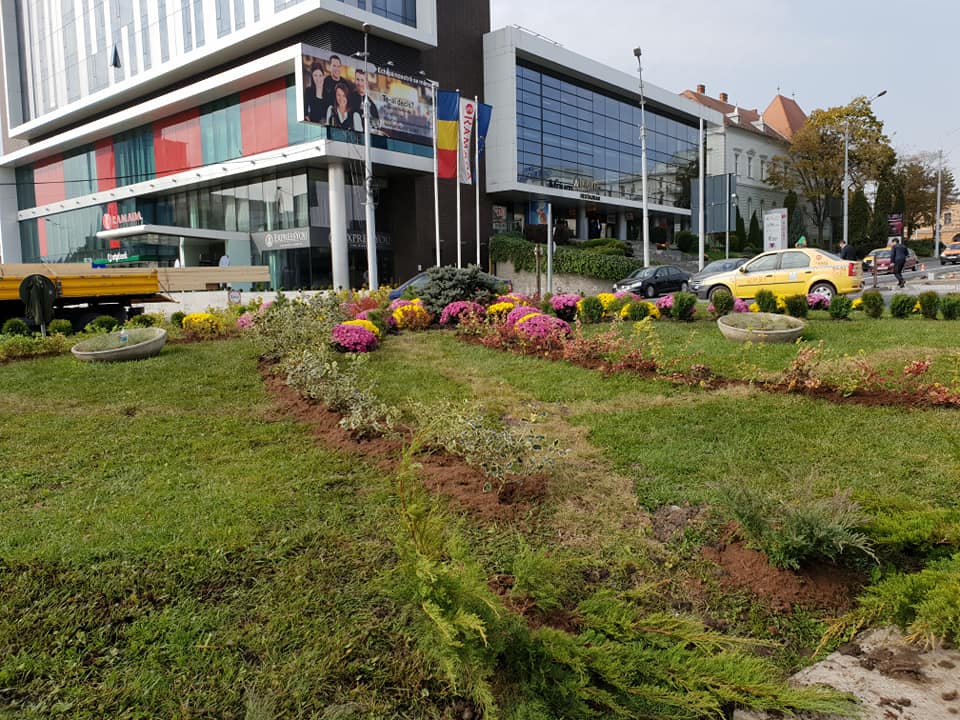 gradina viselor micile afaceri (11)