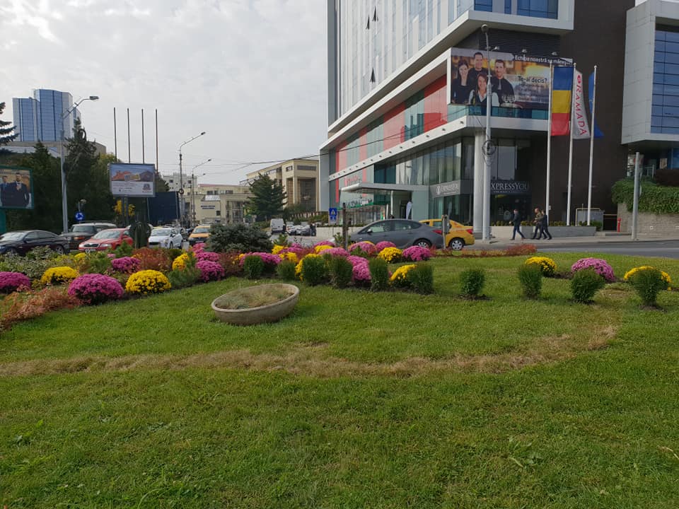 gradina viselor micile afaceri (12)
