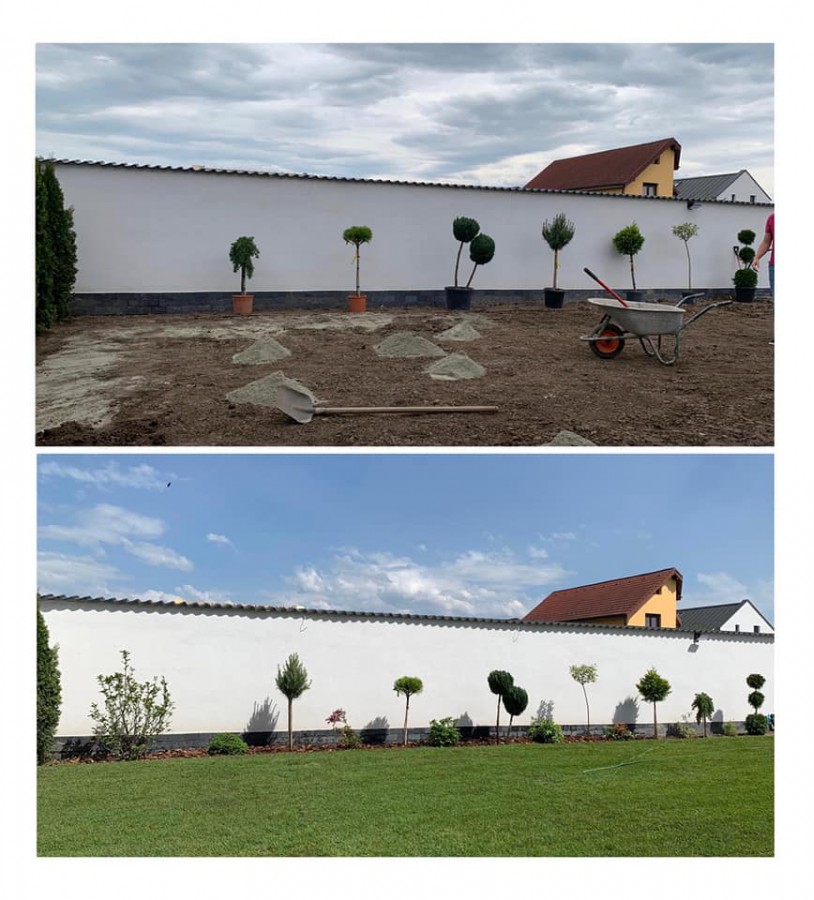 gradina viselor micile afaceri (3)