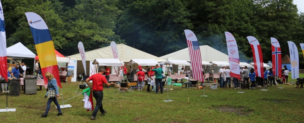 Diplomatie si bun gust_arhiva (10)