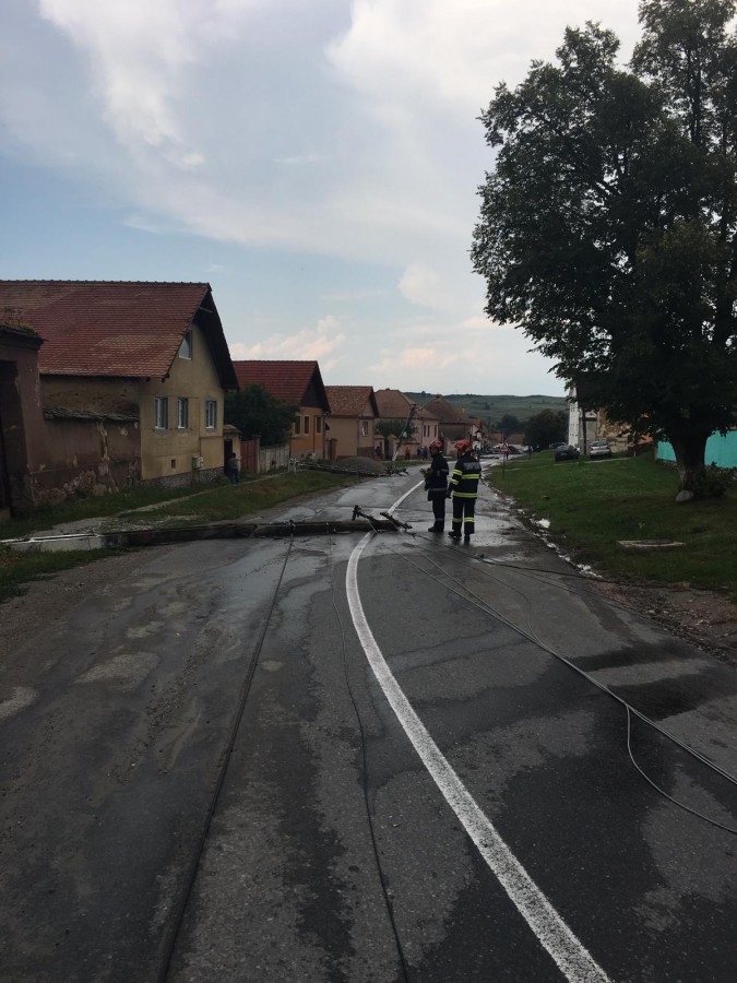 urmari ploaie (2)