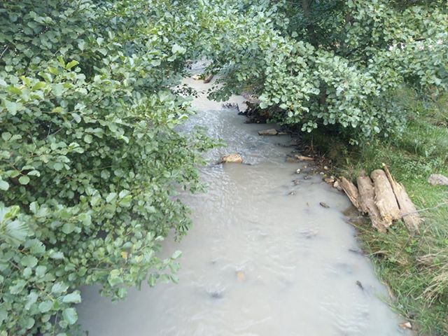 valea stezii poluata