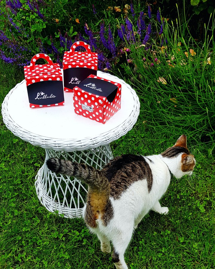 IMG_20190603_104724_972