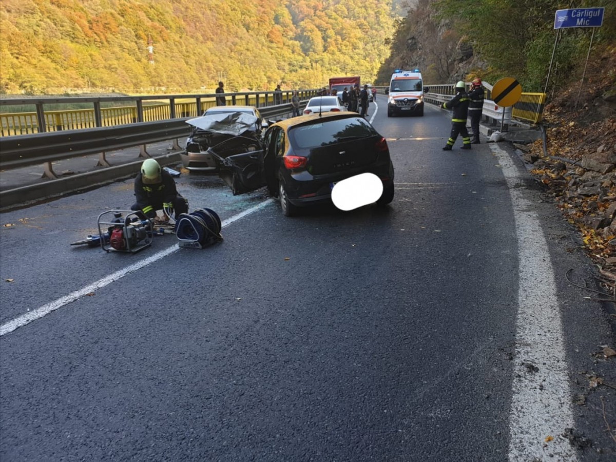 accident valea oltului 2