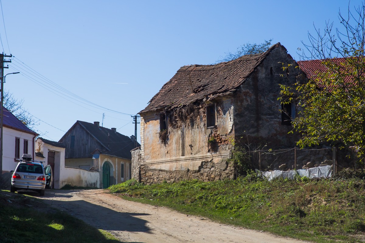 colun pesta porcina (17)